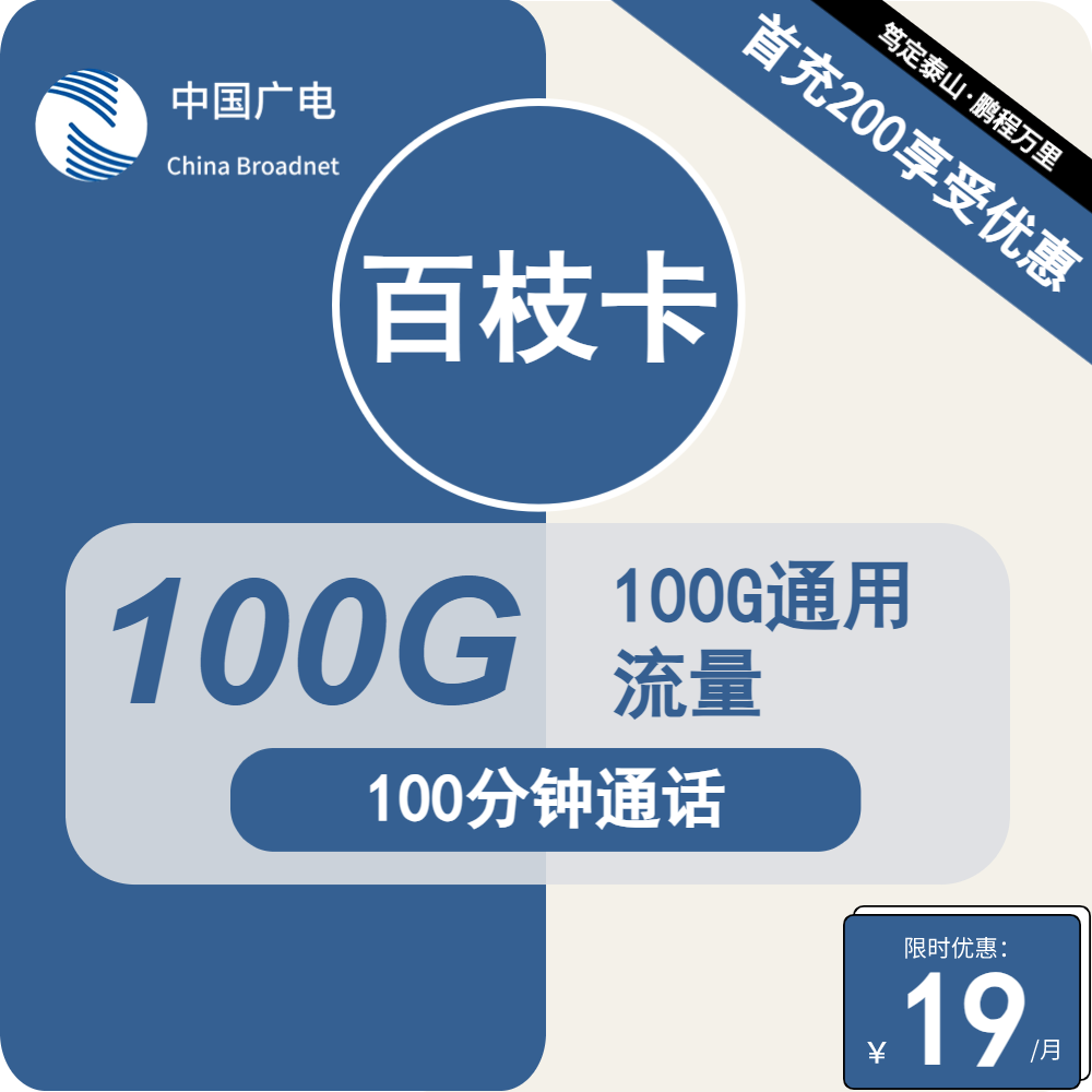 广电百枝卡19元月包100G通用流量+100分钟通话（第12个月起29元月租，长期套餐，流量可结转，收货地为归属地）
