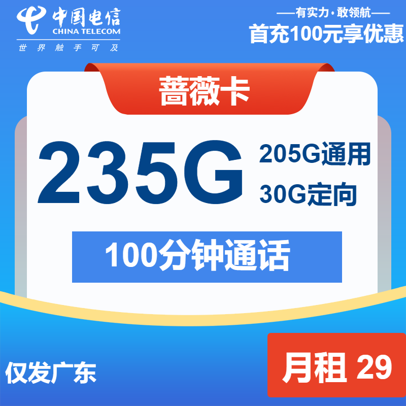 电信蔷薇卡29元月包205G通用流量+30G定向流量+100分钟通话（2年套餐，仅发广东省内）