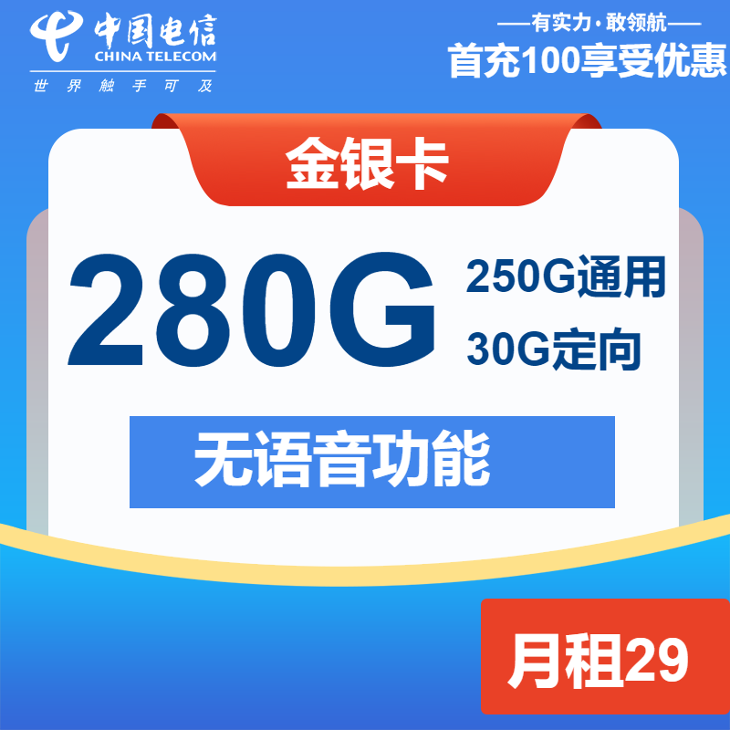 电信金银卡29元月包250G通用流量+30G定向流量+无语音功能（长期套餐）