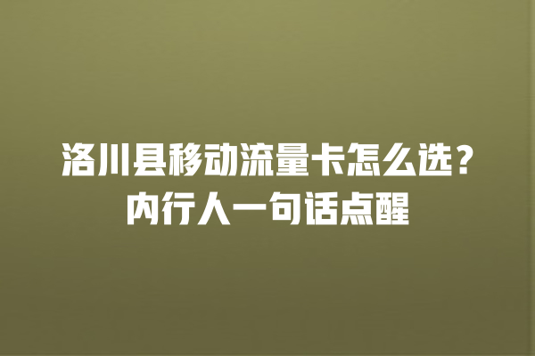 洛川县移动流量卡怎么选?内行人一句话点醒