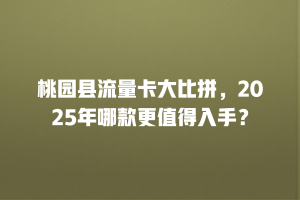 桃园县流量卡大比拼，2025年哪款更值得入手？