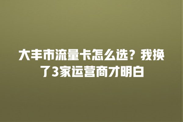 大丰市流量卡怎么选？我换了3家运营商才明白