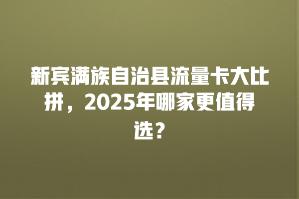 新宾满族自治县流量卡大比拼，2025年哪家更值得选？