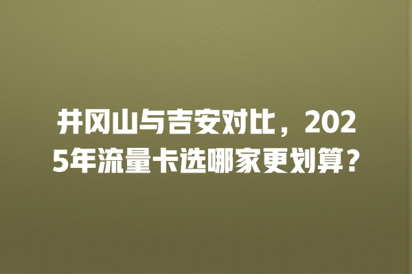 井冈山与吉安对比，2025年流量卡选哪家更划算？