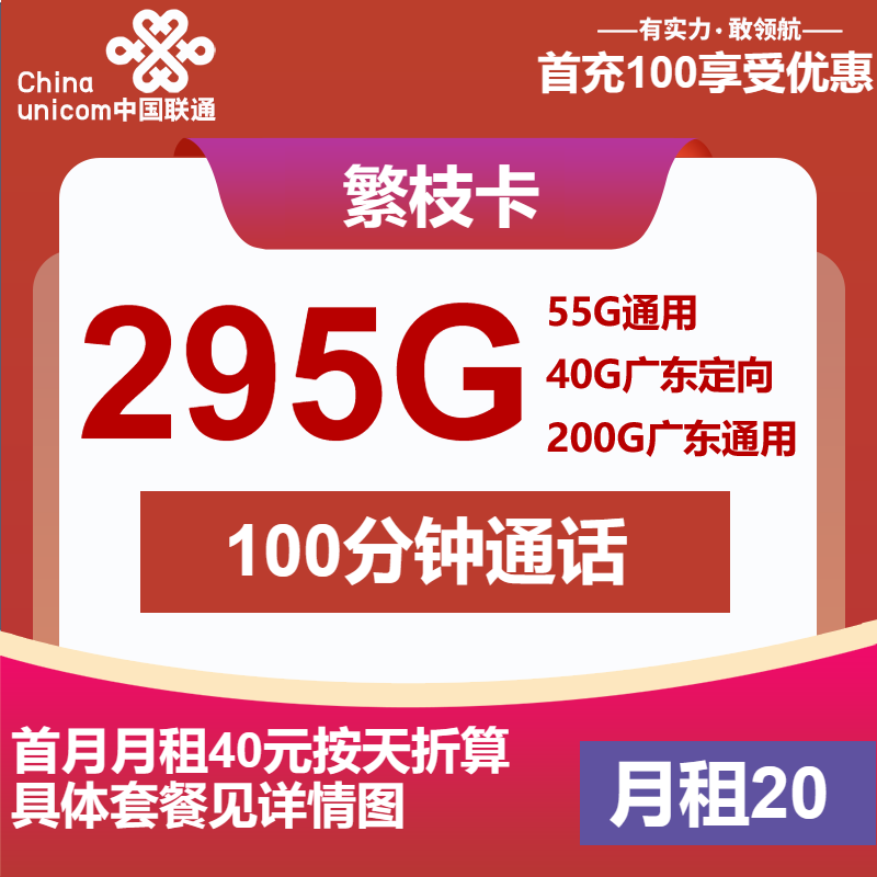 联通繁枝卡20元月包55G通用流量+200G广东通用流量+40G广东定向流量+100分钟通话（第14个月起30元月租，4年套餐，仅发广东省内）