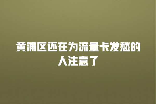 黄浦区还在为流量卡发愁的人注意了
