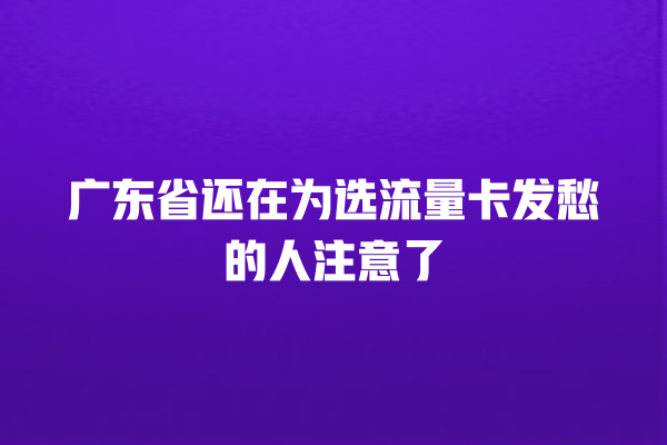 广东省还在为选流量卡发愁的人注意了