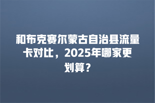 和布克赛尔蒙古自治县流量卡对比，2025年哪家更划算？