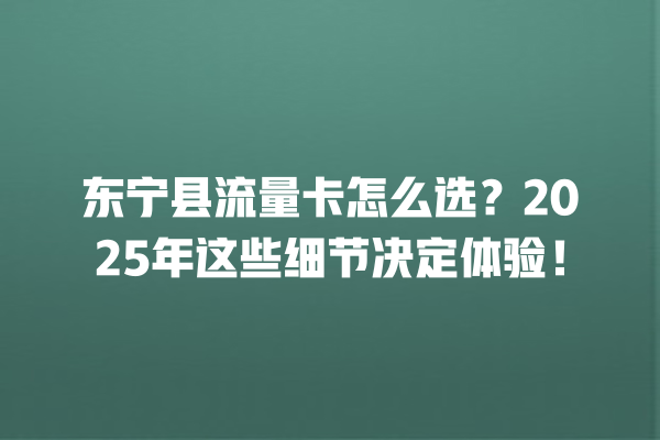 东宁县流量卡怎么选？2025年这些细节决定体验！