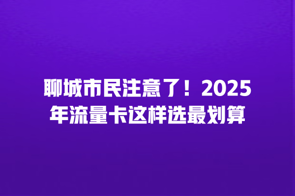 聊城市民注意了！2025年流量卡这样选最划算