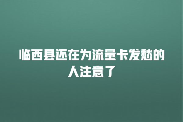 临西县还在为流量卡发愁的人注意了
