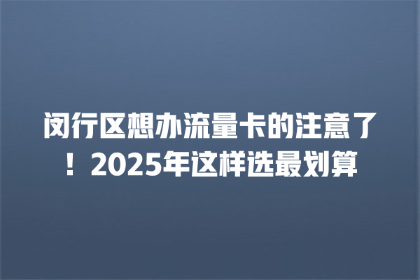 闵行区想办流量卡的注意了！2025年这样选最划算