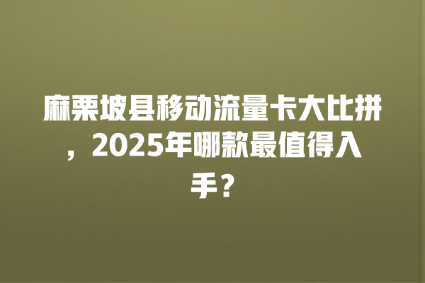 麻栗坡县移动流量卡大比拼，2025年哪款最值得入手？