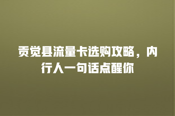贡觉县流量卡选购攻略，内行人一句话点醒你