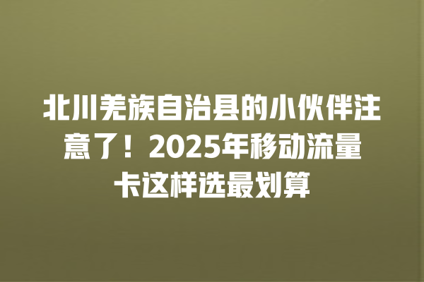 北川羌族自治县的小伙伴注意了！2025年移动流量卡这样选最划算