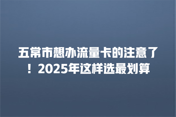 五常市想办流量卡的注意了！2025年这样选最划算
