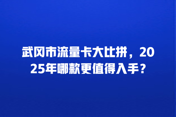 武冈市流量卡大比拼，2025年哪款更值得入手？