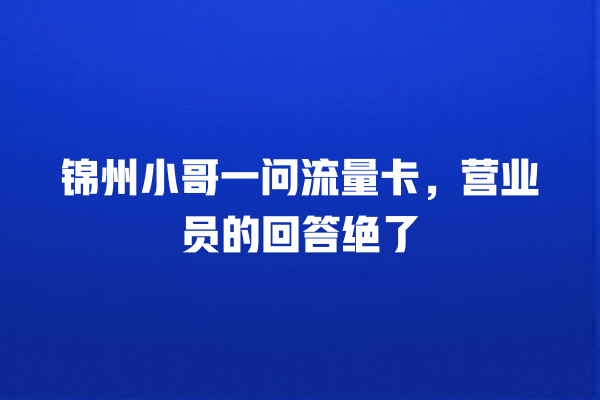 锦州小哥一问流量卡，营业员的回答绝了