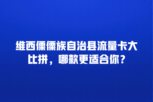 维西僳僳族自治县流量卡大比拼，哪款更适合你？
