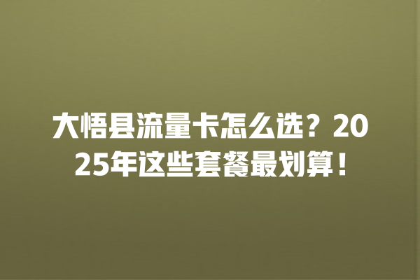 大悟县流量卡怎么选？2025年这些套餐最划算！