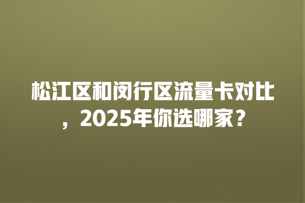 松江区和闵行区流量卡对比，2025年你选哪家？