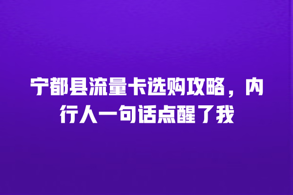 宁都县流量卡选购攻略，内行人一句话点醒了我