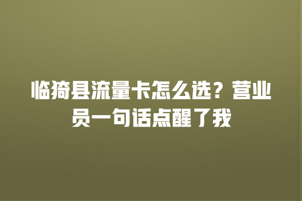 临猗县流量卡怎么选？营业员一句话点醒了我