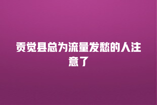 贡觉县总为流量发愁的人注意了