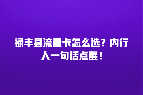 禄丰县流量卡怎么选？内行人一句话点醒！