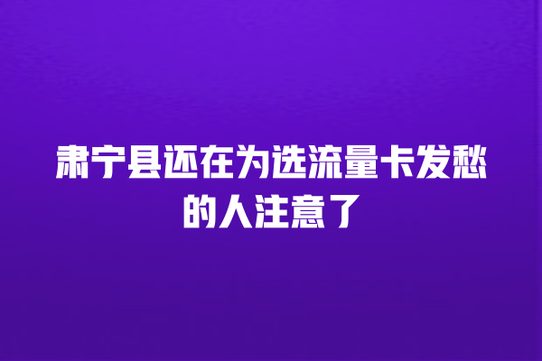 肃宁县还在为选流量卡发愁的人注意了
