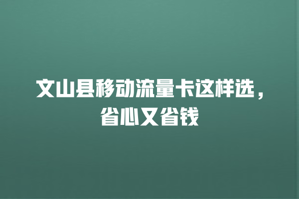 文山县移动流量卡这样选，省心又省钱