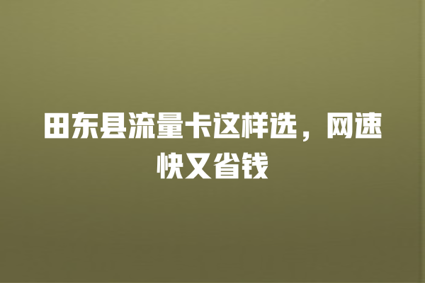 田东县流量卡这样选，网速快又省钱