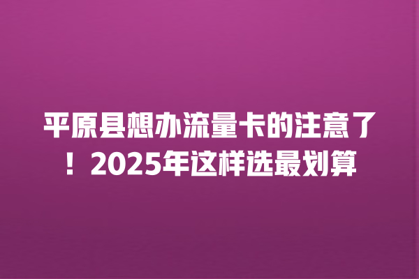 平原县想办流量卡的注意了！2025年这样选最划算
