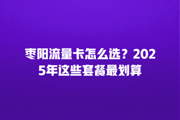 枣阳流量卡怎么选？2025年这些套餐最划算