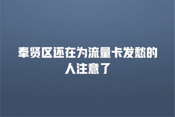 奉贤区还在为流量卡发愁的人注意了