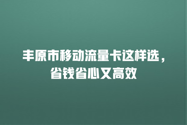 丰原市移动流量卡这样选，省钱省心又高效
