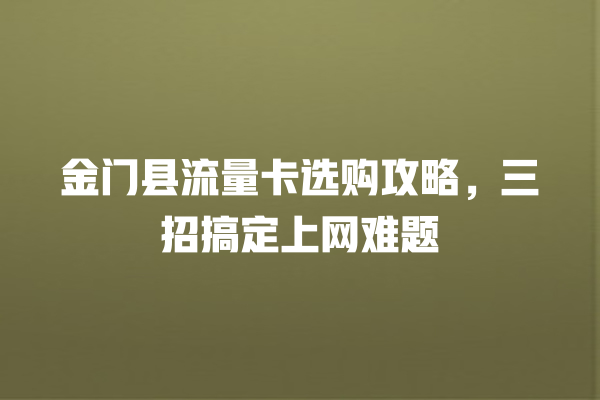 金门县流量卡选购攻略，三招搞定上网难题
