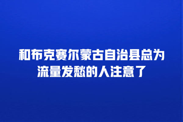 和布克赛尔蒙古自治县总为流量发愁的人注意了