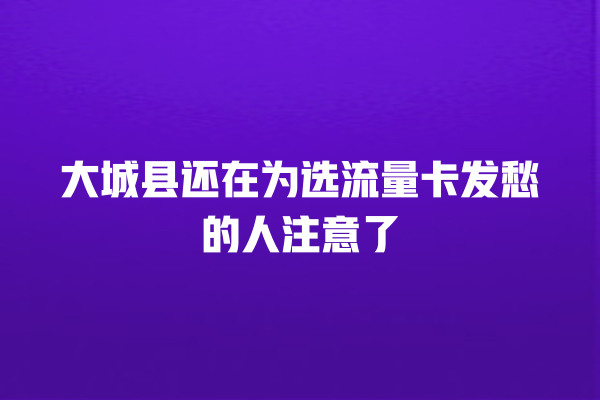 大城县还在为选流量卡发愁的人注意了