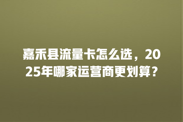 嘉禾县流量卡怎么选，2025年哪家运营商更划算？