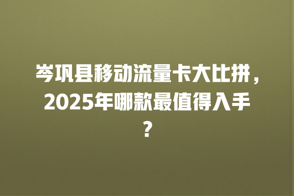 岑巩县移动流量卡大比拼，2025年哪款最值得入手？