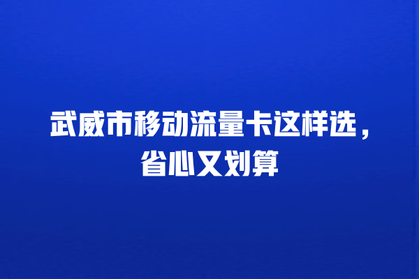 武威市移动流量卡这样选，省心又划算