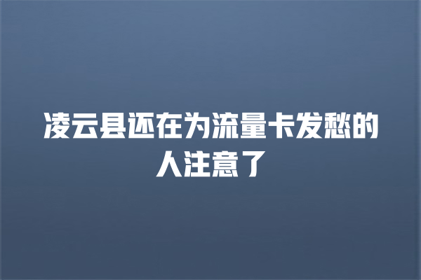 凌云县还在为流量卡发愁的人注意了