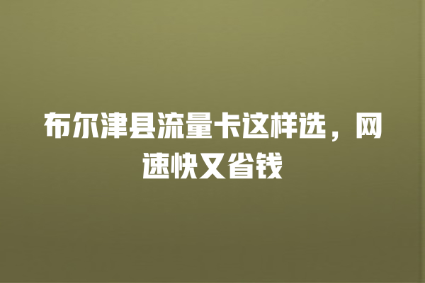 布尔津县流量卡这样选，网速快又省钱