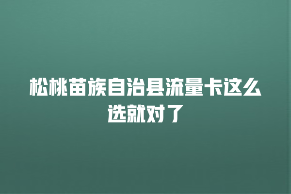 松桃苗族自治县流量卡这么选就对了