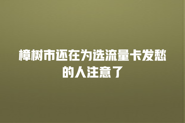 樟树市还在为选流量卡发愁的人注意了