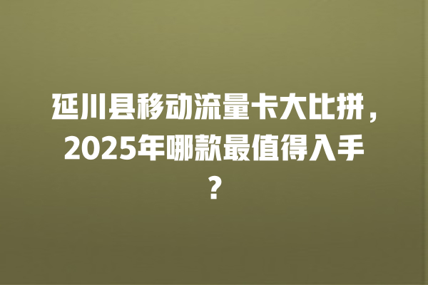 延川县移动流量卡大比拼，2025年哪款最值得入手？