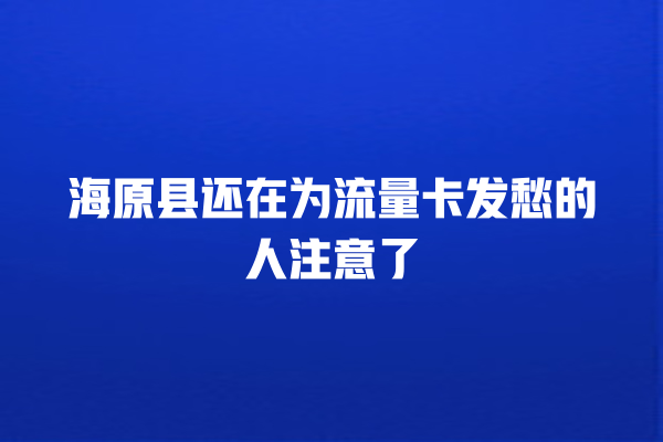 海原县还在为流量卡发愁的人注意了