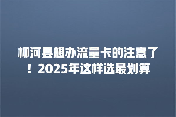柳河县想办流量卡的注意了！2025年这样选最划算
