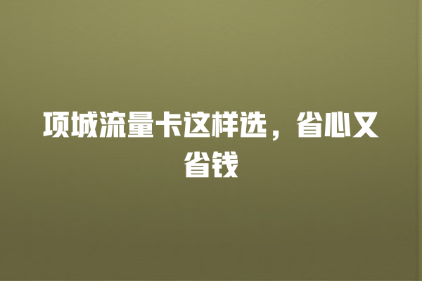 项城流量卡这样选，省心又省钱